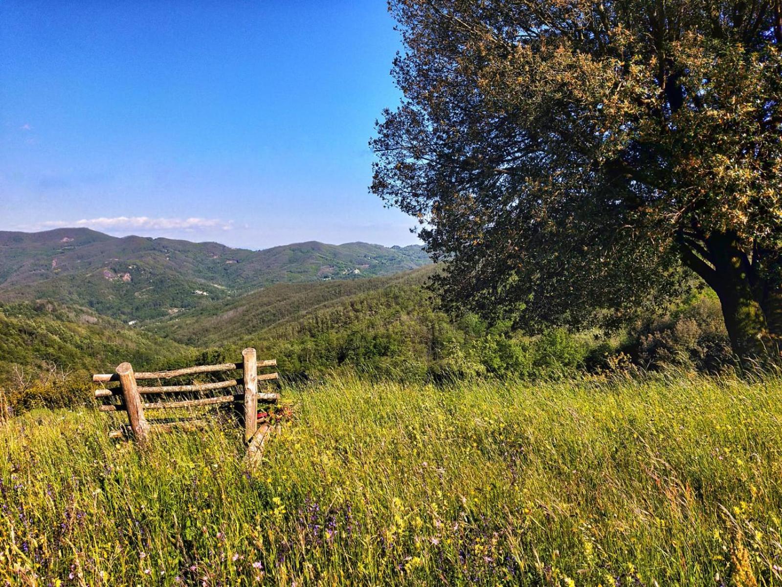 Agriturismo Giandriale Tavarone Экстерьер фото